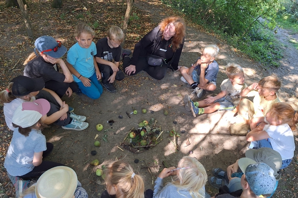 Naturerlebnisse auf der Weitblickwiese